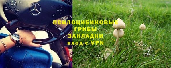 ECSTASY Белоозёрский