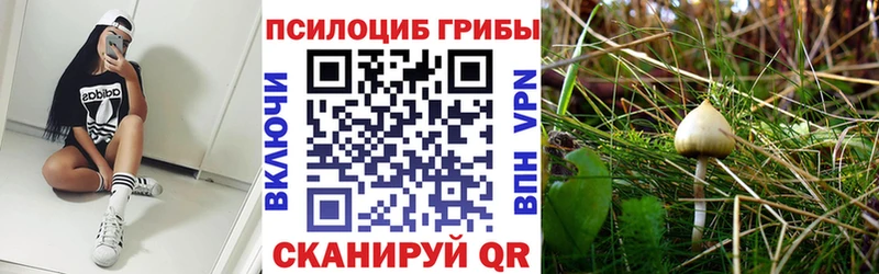 купить наркоту Реж Псилоцибиновые грибы ЛСД